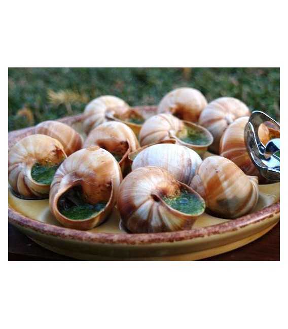 Escargots d'Alsace surgelés