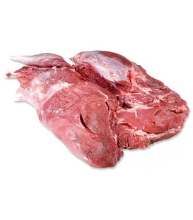 Epaule de cerf s/os s/j surg.