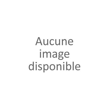 Brochette mixte